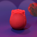 Rose Sucker Meeting Happy Jumping Egg Female Vibration Masturbator Private Nipple Teasing